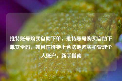 推特账号购买自助下单，推特账号购买自助下单安全吗，如何在推特上合法地购买和管理个人账户，新手指南