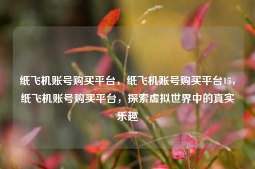 纸飞机账号购买平台，纸飞机账号购买平台15，纸飞机账号购买平台，探索虚拟世界中的真实乐趣