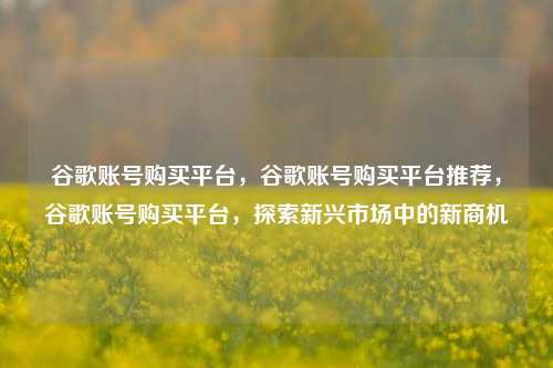 谷歌账号购买平台，谷歌账号购买平台推荐，谷歌账号购买平台，探索新兴市场中的新商机