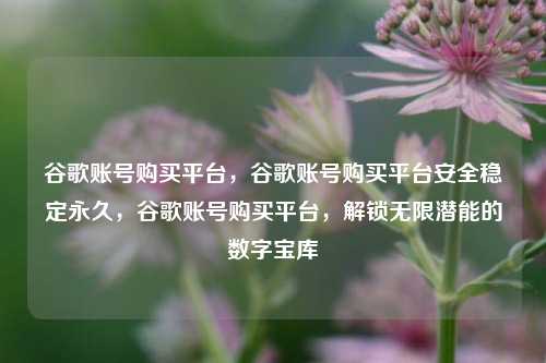谷歌账号购买平台，谷歌账号购买平台安全稳定永久，谷歌账号购买平台，解锁无限潜能的数字宝库