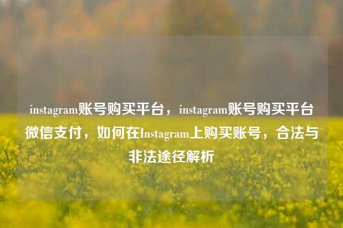 instagram账号购买平台，instagram账号购买平台微信支付，如何在Instagram上购买账号，合法与非法途径解析