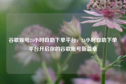 谷歌账号24小时自助下单平台，24小时自助下单平台开启你的谷歌账号新篇章