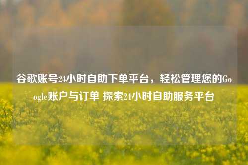 谷歌账号24小时自助下单平台，轻松管理您的Google账户与订单 探索24小时自助服务平台