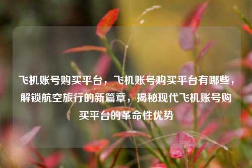 飞机账号购买平台，飞机账号购买平台有哪些，解锁航空旅行的新篇章，揭秘现代飞机账号购买平台的革命性优势