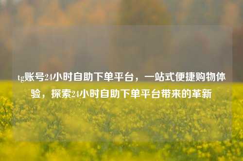 tg账号24小时自助下单平台，一站式便捷购物体验，探索24小时自助下单平台带来的革新