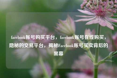 facebook帐号购买平台，facebook账号在线购买，隐秘的交易平台，揭秘Facebook账号买卖背后的黑幕