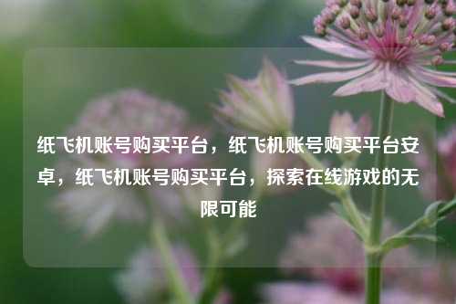 纸飞机账号购买平台，纸飞机账号购买平台安卓，纸飞机账号购买平台，探索在线游戏的无限可能