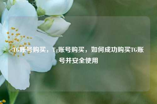 TG账号购买，Tg账号购买，如何成功购买TG账号并安全使用