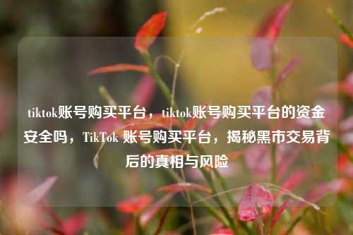 tiktok账号购买平台，tiktok账号购买平台的资金安全吗，TikTok 账号购买平台，揭秘黑市交易背后的真相与风险