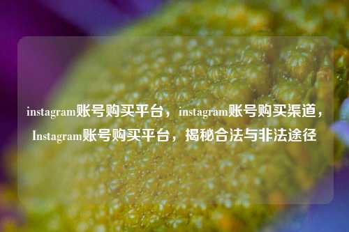 instagram账号购买平台，instagram账号购买渠道，Instagram账号购买平台，揭秘合法与非法途径