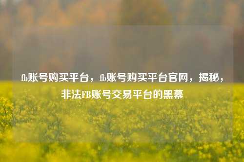 fb账号购买平台，fb账号购买平台官网，揭秘，非法FB账号交易平台的黑幕
