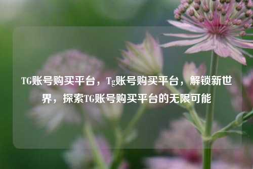 TG账号购买平台，Tg账号购买平台，解锁新世界，探索TG账号购买平台的无限可能