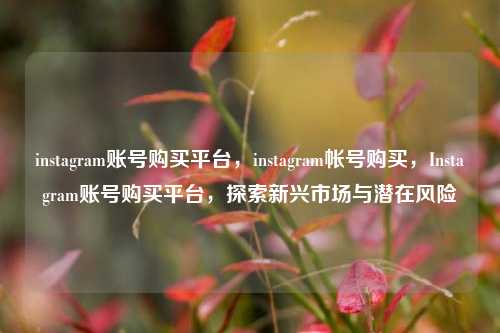 instagram账号购买平台，instagram帐号购买，Instagram账号购买平台，探索新兴市场与潜在风险