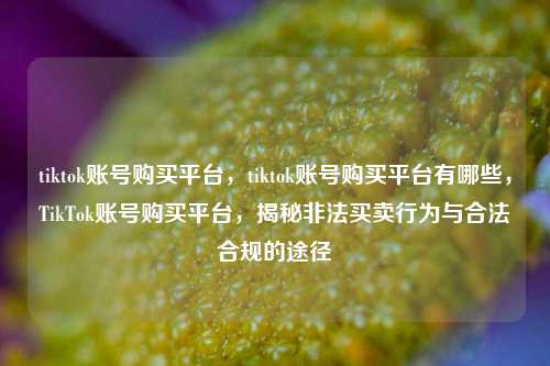 tiktok账号购买平台，tiktok账号购买平台有哪些，TikTok账号购买平台，揭秘非法买卖行为与合法合规的途径