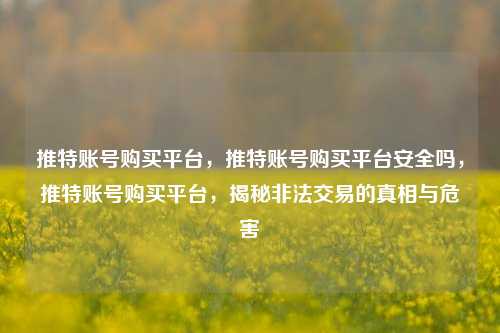 推特账号购买平台，推特账号购买平台安全吗，推特账号购买平台，揭秘非法交易的真相与危害