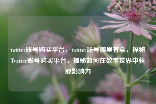twitter账号购买平台，twitter账号哪里有卖，探秘Twitter账号购买平台，揭秘如何在数字世界中获取影响力