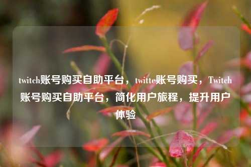 twitch账号购买自助平台，twitte账号购买，Twitch账号购买自助平台，简化用户旅程，提升用户体验