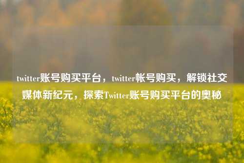 twitter账号购买平台，twitter帐号购买，解锁社交媒体新纪元，探索Twitter账号购买平台的奥秘