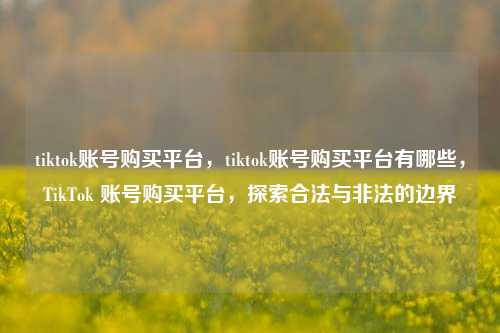 tiktok账号购买平台，tiktok账号购买平台有哪些，TikTok 账号购买平台，探索合法与非法的边界