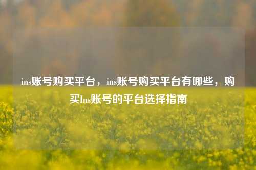 ins账号购买平台，ins账号购买平台有哪些，购买Ins账号的平台选择指南