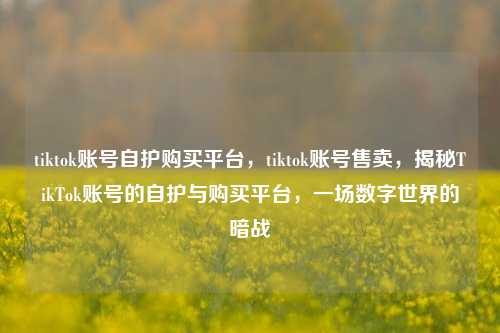 tiktok账号自护购买平台，tiktok账号售卖，揭秘TikTok账号的自护与购买平台，一场数字世界的暗战
