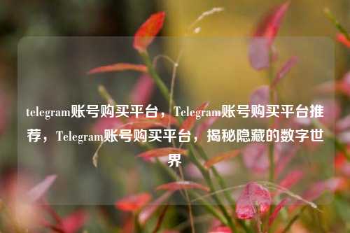 telegram账号购买平台，Telegram账号购买平台推荐，Telegram账号购买平台，揭秘隐藏的数字世界