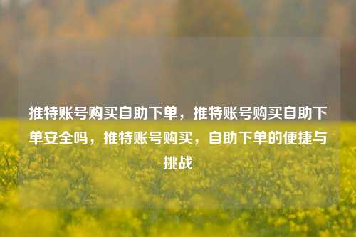 推特账号购买自助下单，推特账号购买自助下单安全吗，推特账号购买，自助下单的便捷与挑战