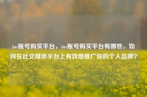 ins账号购买平台，ins账号购买平台有哪些，如何在社交媒体平台上有效地推广你的个人品牌？