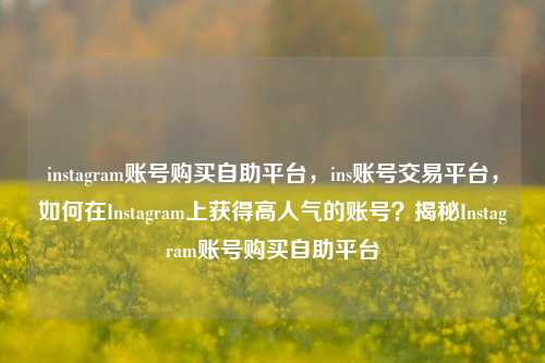 instagram账号购买自助平台，ins账号交易平台，如何在Instagram上获得高人气的账号？揭秘Instagram账号购买自助平台