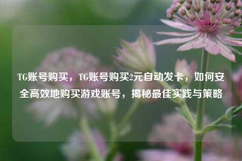 TG账号购买，TG账号购买2元自动发卡，如何安全高效地购买游戏账号，揭秘最佳实践与策略