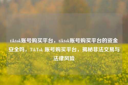 tiktok账号购买平台，tiktok账号购买平台的资金安全吗，TikTok 账号购买平台，揭秘非法交易与法律风险