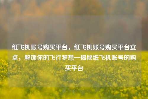 纸飞机账号购买平台，纸飞机账号购买平台安卓，解锁你的飞行梦想—揭秘纸飞机账号的购买平台