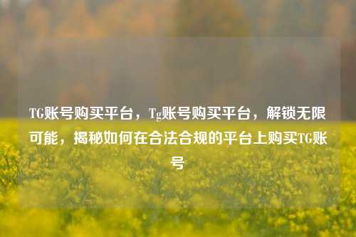 TG账号购买平台，Tg账号购买平台，解锁无限可能，揭秘如何在合法合规的平台上购买TG账号