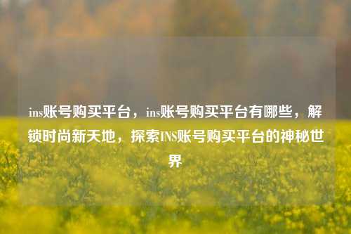 ins账号购买平台，ins账号购买平台有哪些，解锁时尚新天地，探索INS账号购买平台的神秘世界
