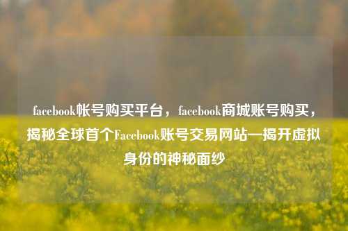 facebook帐号购买平台，facebook商城账号购买，揭秘全球首个Facebook账号交易网站—揭开虚拟身份的神秘面纱