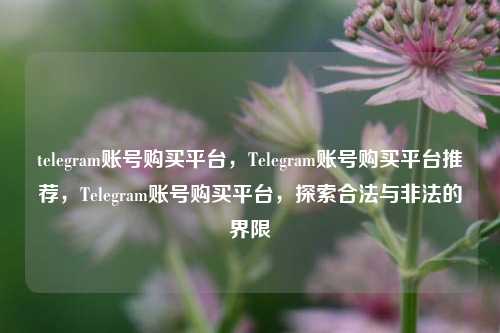 telegram账号购买平台，Telegram账号购买平台推荐	，Telegram账号购买平台，探索合法与非法的界限  第1张