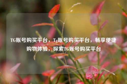 TG账号购买平台，Tg账号购买平台，畅享便捷购物体验，探索TG账号购买平台
