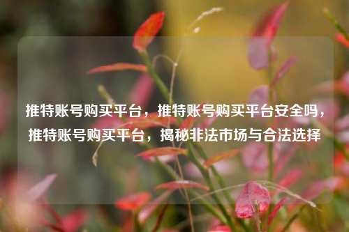 推特账号购买平台	，推特账号购买平台安全吗，推特账号购买平台，揭秘非法市场与合法选择  第1张