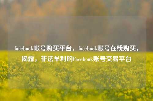 facebook帐号购买平台，facebook账号在线购买，揭露，非法牟利的Facebook账号交易平台