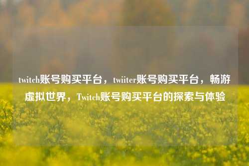 twitch账号购买平台，twiiter账号购买平台，畅游虚拟世界，Twitch账号购买平台的探索与体验