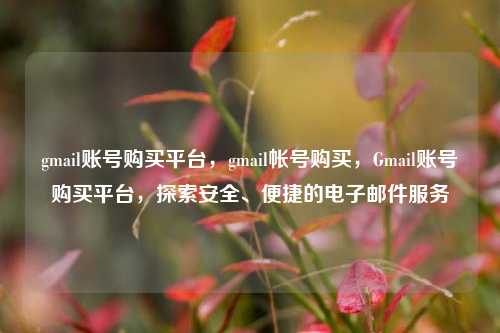 gmail账号购买平台，gmail帐号购买，Gmail账号购买平台，探索安全、便捷的电子邮件服务