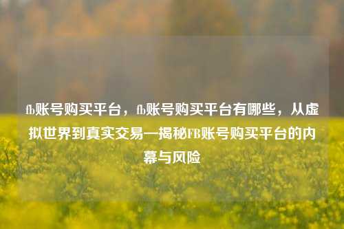 fb账号购买平台，fb账号购买平台有哪些，从虚拟世界到真实交易—揭秘FB账号购买平台的内幕与风险