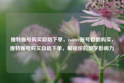 推特账号购买自助下单，twitter账号自助购买，推特账号购买自助下单，解锁你的数字影响力