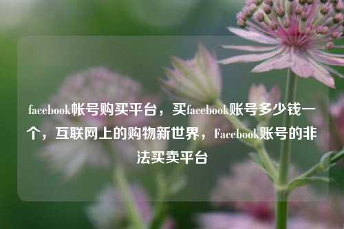 facebook帐号购买平台，买facebook账号多少钱一个，互联网上的购物新世界，Facebook账号的非法买卖平台
