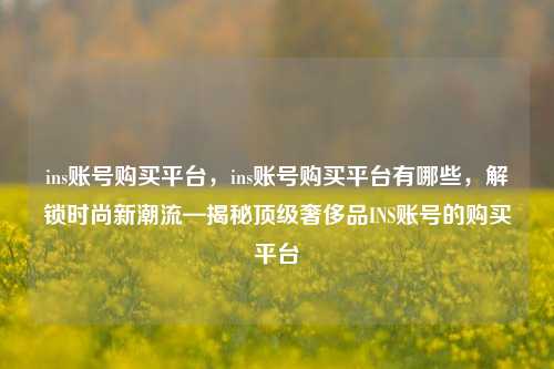 ins账号购买平台	，ins账号购买平台有哪些，解锁时尚新潮流—揭秘顶级奢侈品INS账号的购买平台  第1张