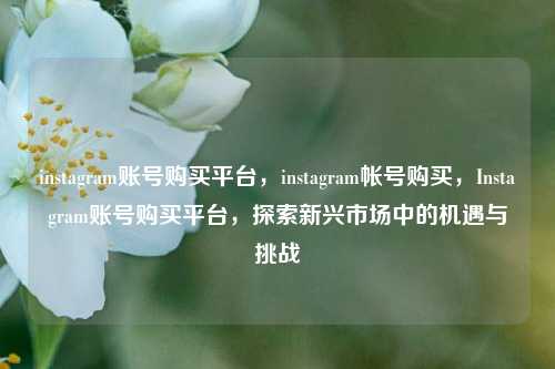 instagram账号购买平台，instagram帐号购买，Instagram账号购买平台，探索新兴市场中的机遇与挑战
