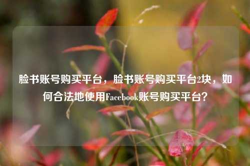 脸书账号购买平台	，脸书账号购买平台2块，如何合法地使用Facebook账号购买平台？  第1张