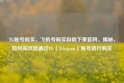 TG账号购买，飞机号购买自助下单官网，揭秘，如何高效地通过TG（Telegram）账号进行购买