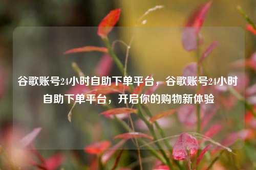 谷歌账号24小时自助下单平台，谷歌账号24小时自助下单平台，开启你的购物新体验