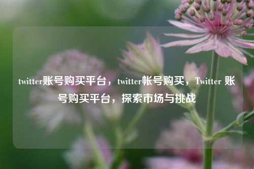 twitter账号购买平台，twitter帐号购买	，Twitter 账号购买平台，探索市场与挑战  第1张